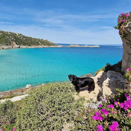 Σπίτι διακοπών Rena Bianca House Santa Teresa Gallura