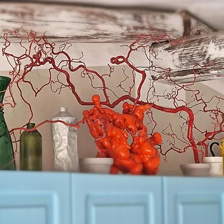 Rena Bianca House Σπίτι διακοπών Santa Teresa Gallura
